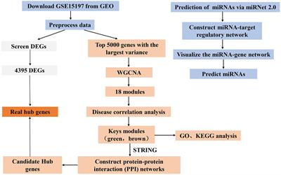 Identification of Hub Genes and MicroRNAs Associated With Idiopathic Pulmonary Arterial Hypertension by Integrated Bioinformatics Analyses